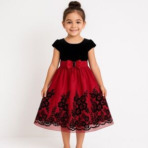 Jona Michelle Velvet Top Satin & Embroidered Tulle Dress Size 5